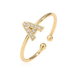 PAVE INITIAL RING